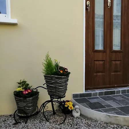 Beautiful Guest House, Ensuite, Lägenhet Dublin